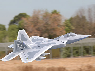 Sky Flight Hobby F-22 Raptor 70mm Jet Vector Thrust ARF RC Airplane