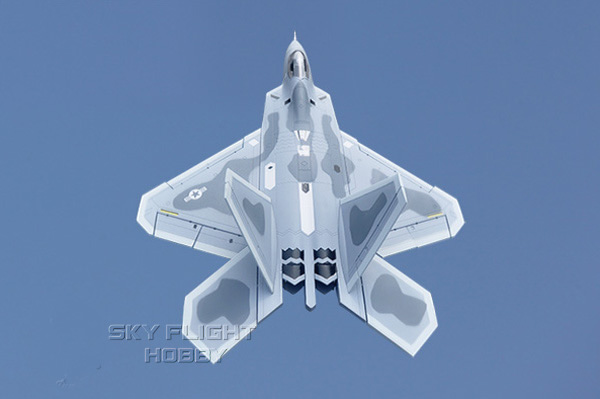 Sky Flight Hobby F-22  Jet Airplane