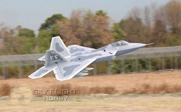 Sky Flight Hobby F-22  Jet Airplane