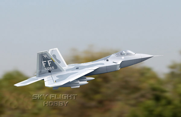 Sky Flight Hobby F-22  Jet Airplane