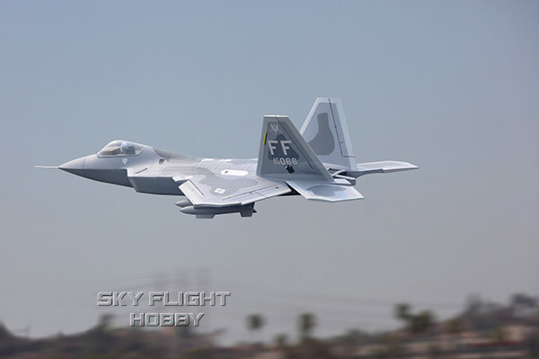 Sky Flight Hobby F-22  Jet Airplane