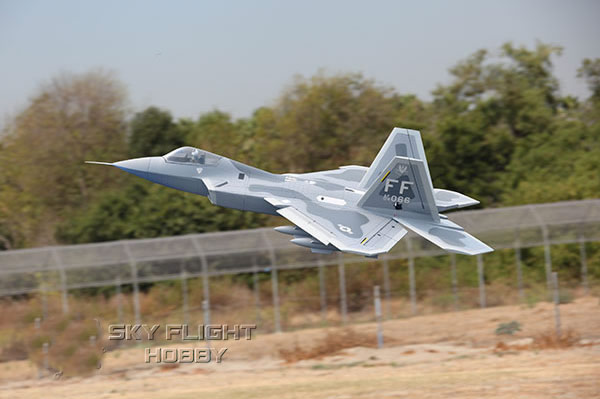 Sky Flight Hobby F-22  Jet Airplane